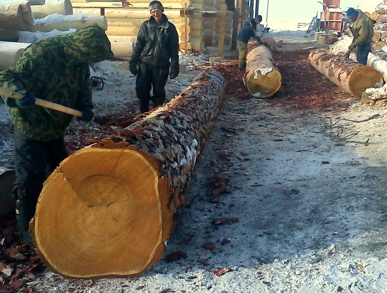 Срубы домов большого диаметра: выбор бревен, усадка и другие особенности